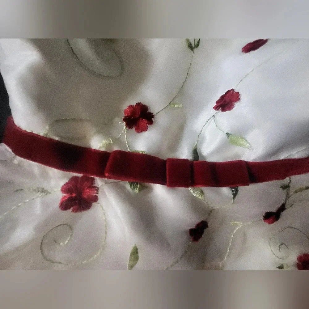 ❤️Youngland Winter Dress - NWOT- Size 24 months - white and red flowers